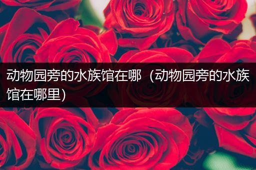 动物园旁的水族馆在哪（动物园旁的水族馆在哪里）