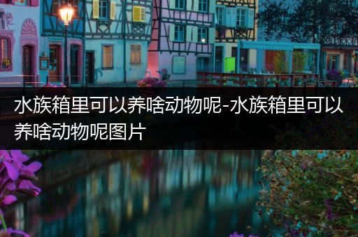 水族箱里可以养啥动物呢-水族箱里可以养啥动物呢图片
