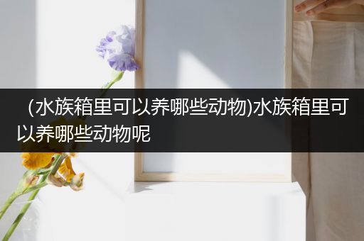 （水族箱里可以养哪些动物)水族箱里可以养哪些动物呢