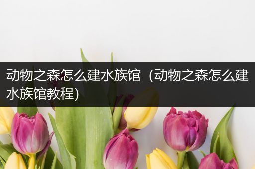 动物之森怎么建水族馆（动物之森怎么建水族馆教程）