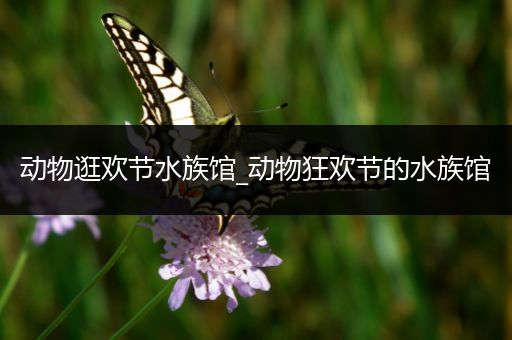 动物逛欢节水族馆_动物狂欢节的水族馆