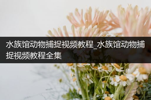 水族馆动物捕捉视频教程_水族馆动物捕捉视频教程全集