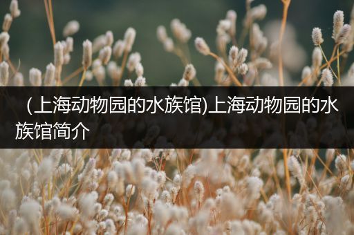 （上海动物园的水族馆)上海动物园的水族馆简介