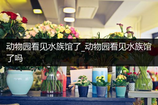 动物园看见水族馆了_动物园看见水族馆了吗