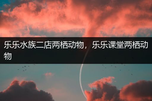 乐乐水族二店两栖动物，乐乐课堂两栖动物