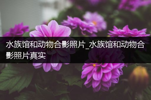 水族馆和动物合影照片_水族馆和动物合影照片真实