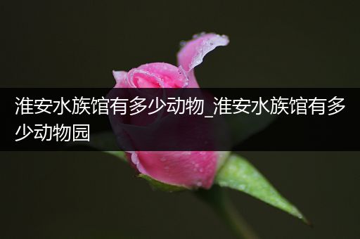 淮安水族馆有多少动物_淮安水族馆有多少动物园