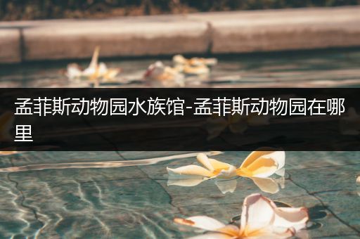 孟菲斯动物园水族馆-孟菲斯动物园在哪里