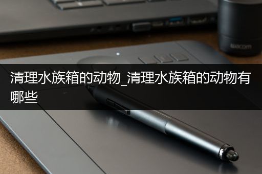 清理水族箱的动物_清理水族箱的动物有哪些