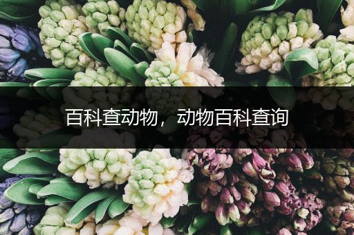 百科查动物，动物百科查询