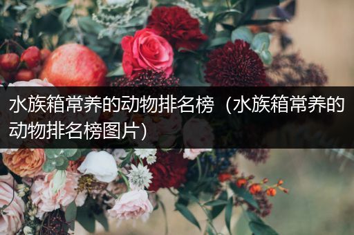 水族箱常养的动物排名榜（水族箱常养的动物排名榜图片）
