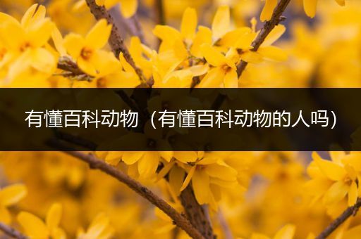 有懂百科动物（有懂百科动物的人吗）