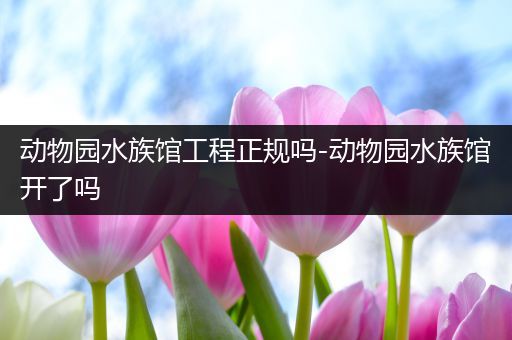 动物园水族馆工程正规吗-动物园水族馆开了吗