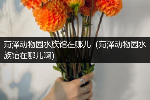 菏泽动物园水族馆在哪儿（菏泽动物园水族馆在哪儿啊）