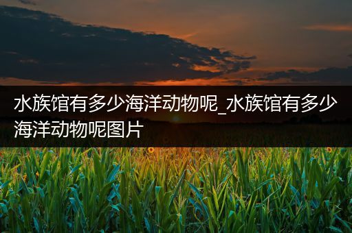 水族馆有多少海洋动物呢_水族馆有多少海洋动物呢图片