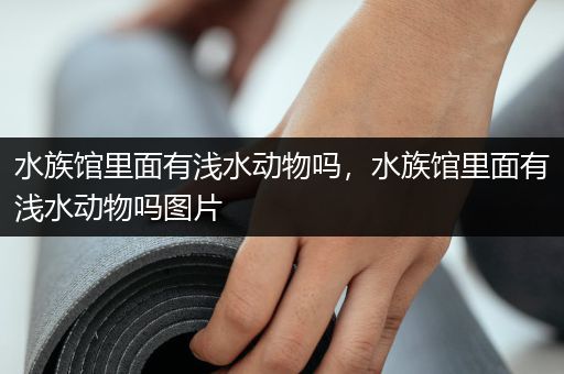 水族馆里面有浅水动物吗，水族馆里面有浅水动物吗图片