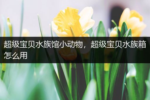 超级宝贝水族馆小动物，超级宝贝水族箱怎么用