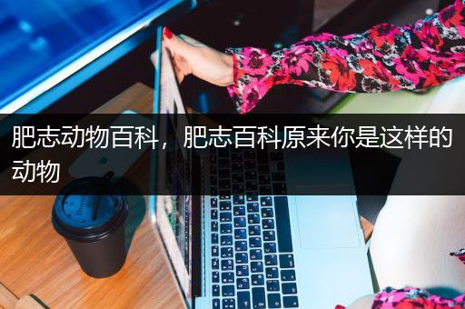 肥志动物百科，肥志百科原来你是这样的动物