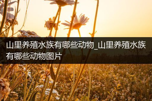 山里养殖水族有哪些动物_山里养殖水族有哪些动物图片