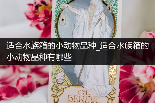 适合水族箱的小动物品种_适合水族箱的小动物品种有哪些