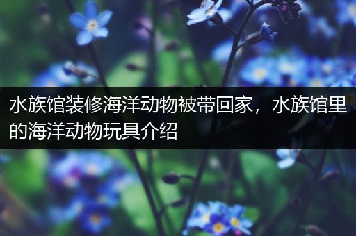 水族馆装修海洋动物被带回家，水族馆里的海洋动物玩具介绍