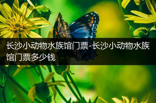长沙小动物水族馆门票-长沙小动物水族馆门票多少钱