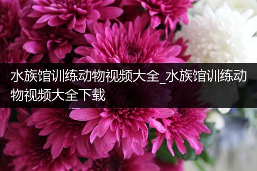 水族馆训练动物视频大全_水族馆训练动物视频大全下载