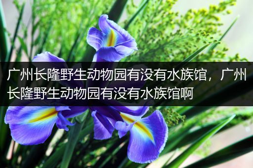 广州长隆野生动物园有没有水族馆，广州长隆野生动物园有没有水族馆啊