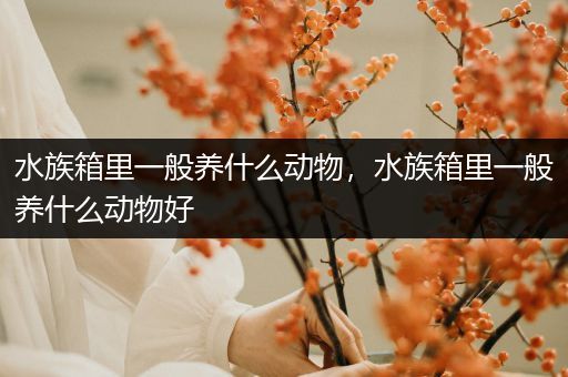 水族箱里一般养什么动物，水族箱里一般养什么动物好