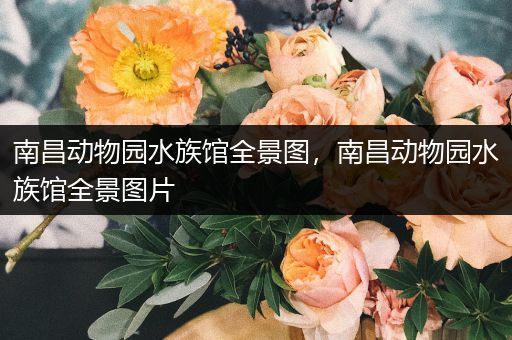 南昌动物园水族馆全景图，南昌动物园水族馆全景图片