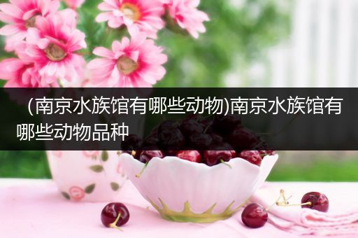 （南京水族馆有哪些动物)南京水族馆有哪些动物品种
