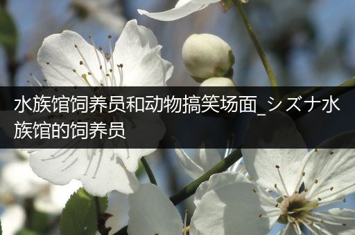 水族馆饲养员和动物搞笑场面_シズナ水族馆的饲养员