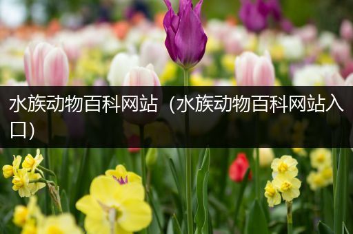 水族动物百科网站（水族动物百科网站入口）