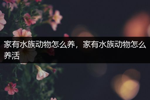 家有水族动物怎么养，家有水族动物怎么养活