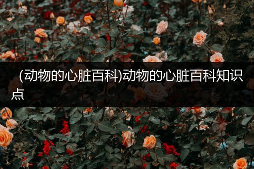 （动物的心脏百科)动物的心脏百科知识点