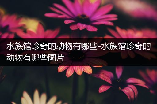 水族馆珍奇的动物有哪些-水族馆珍奇的动物有哪些图片