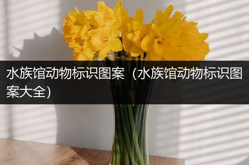 水族馆动物标识图案（水族馆动物标识图案大全）