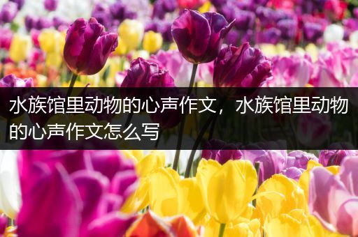 水族馆里动物的心声作文，水族馆里动物的心声作文怎么写