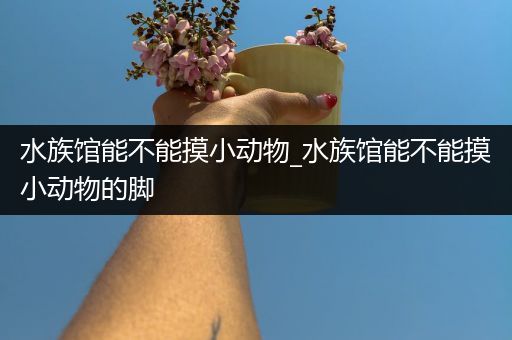 水族馆能不能摸小动物_水族馆能不能摸小动物的脚