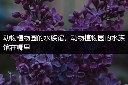 动物植物园的水族馆，动物植物园的水族馆在哪里