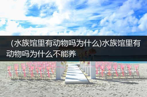 （水族馆里有动物吗为什么)水族馆里有动物吗为什么不能养