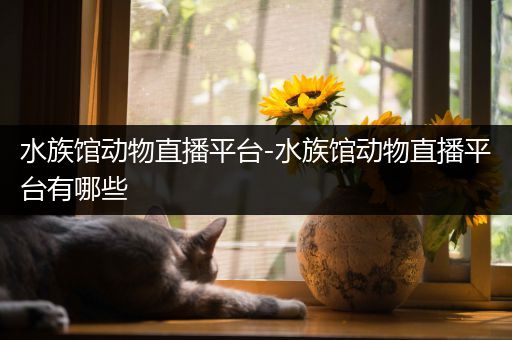 水族馆动物直播平台-水族馆动物直播平台有哪些