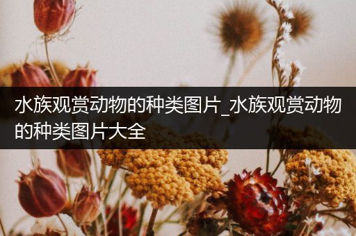 水族观赏动物的种类图片_水族观赏动物的种类图片大全