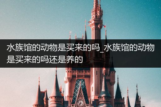 水族馆的动物是买来的吗_水族馆的动物是买来的吗还是养的