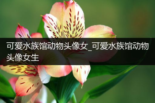 可爱水族馆动物头像女_可爱水族馆动物头像女生