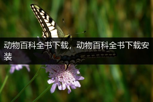 动物百科全书下载，动物百科全书下载安装