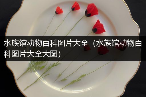 水族馆动物百科图片大全（水族馆动物百科图片大全大图）
