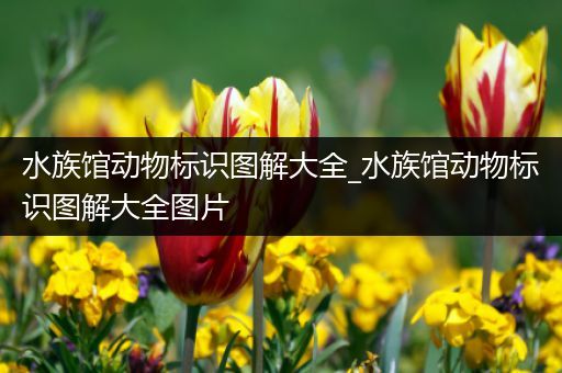 水族馆动物标识图解大全_水族馆动物标识图解大全图片