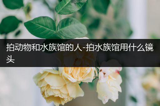 拍动物和水族馆的人-拍水族馆用什么镜头