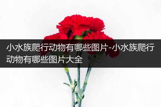 小水族爬行动物有哪些图片-小水族爬行动物有哪些图片大全
